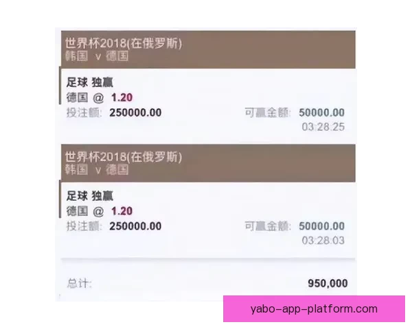 世界杯竞猜高赔率平台推荐，让你轻松掌握投注技巧赢大奖